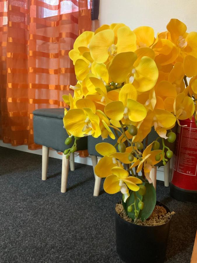Skogsvikens Hotell Kolmården 외부 사진